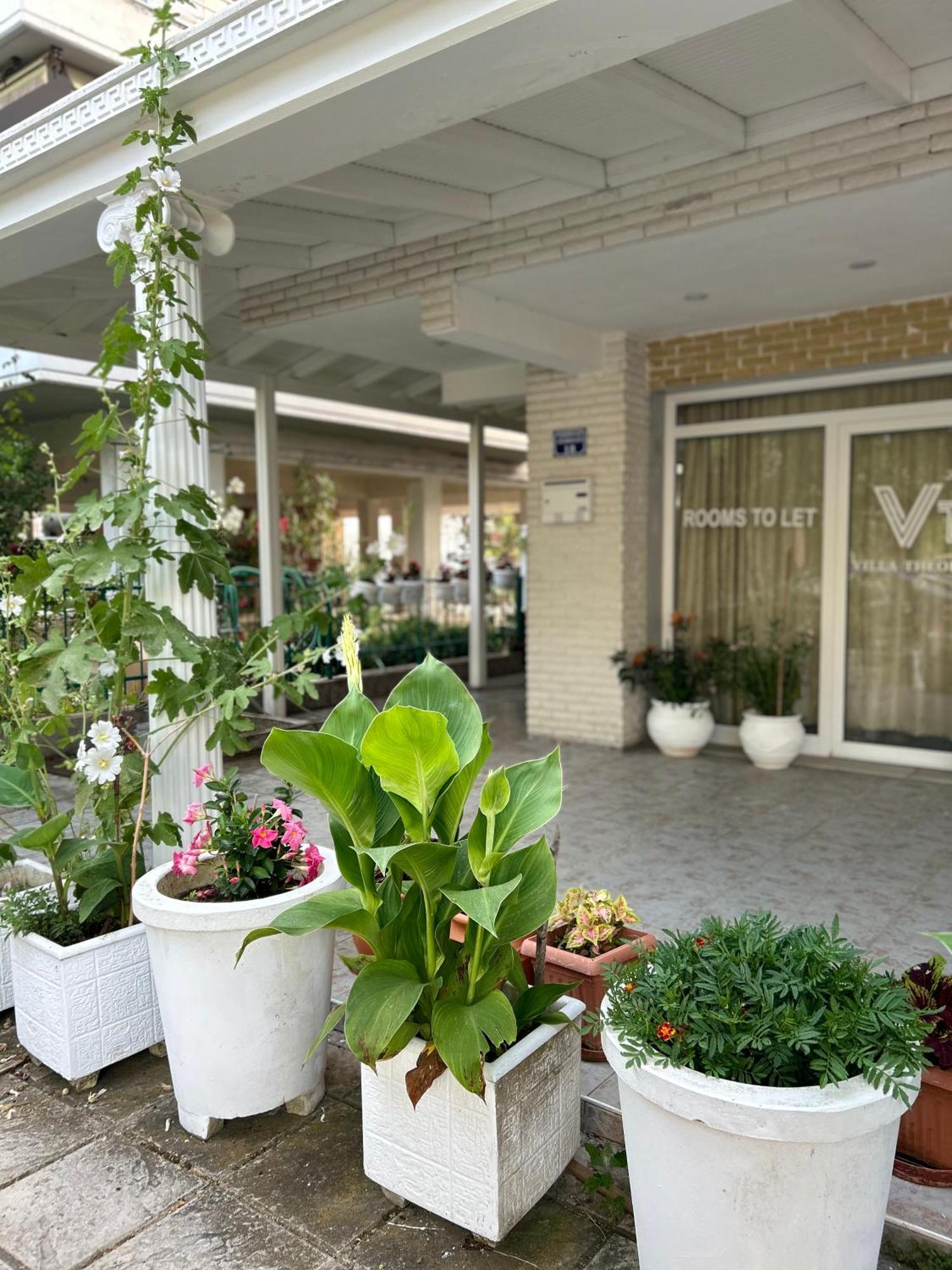 Villa Theodοra Superior Olympic Beach Exterior photo